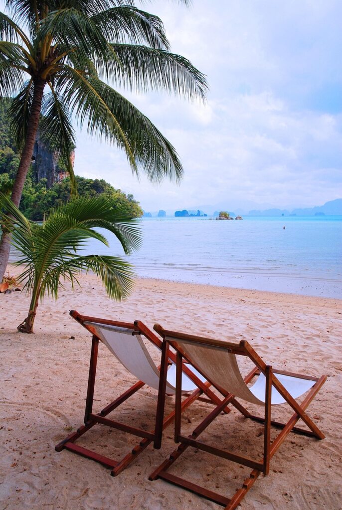 thailand, sandy beach, vacations, palm trees, thailand, thailand, thailand, thailand, thailand, palm trees